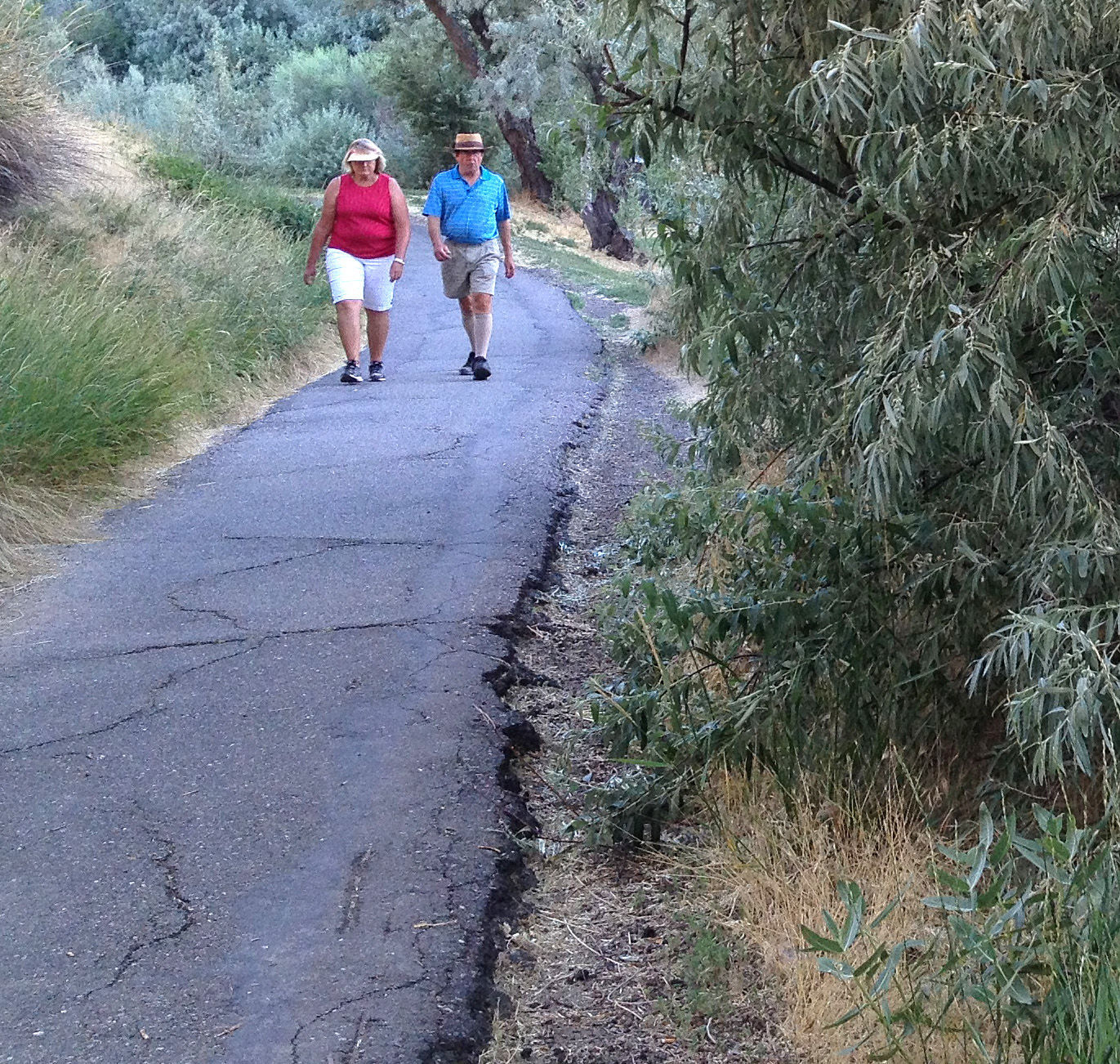 Urban Trail: Rock Creek Park